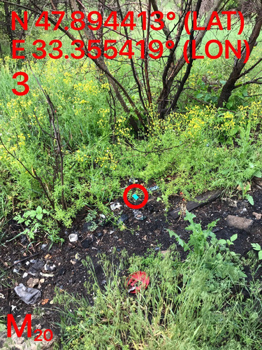 5287489910204394129.jpg