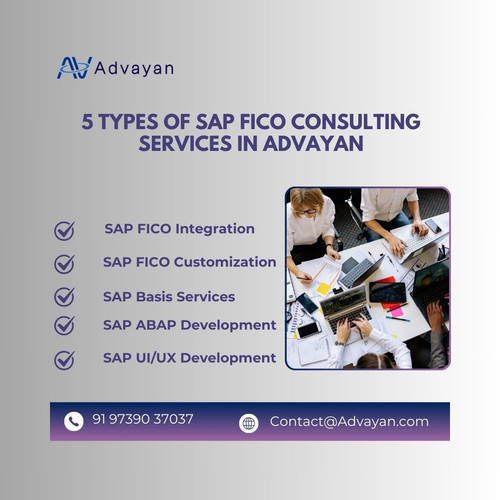 5 Types of SAP FICO Consulting Services in advayan.jpg