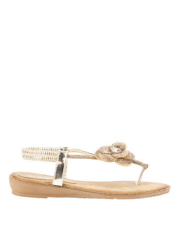 40278 1 Photoroom.png