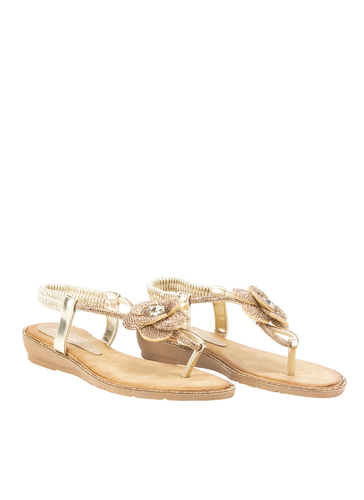 40278 2 Photoroom.png