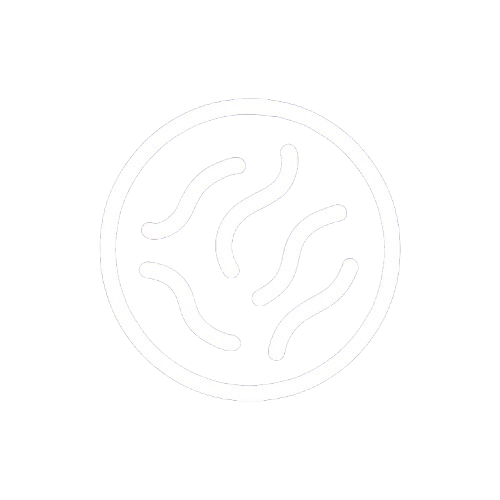 ChatGPT Image 11 de mai. de 2025 11 44 45 removebg preview.png