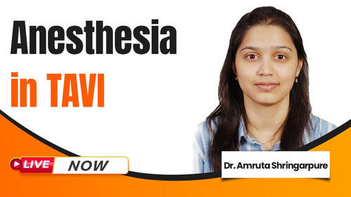 WhatsApp Image 2025 05 23 at 2.21.36 PM.jpg