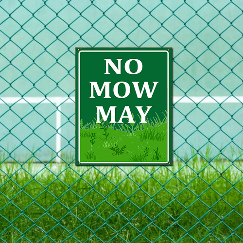 55 486xskw0523skws 12.png