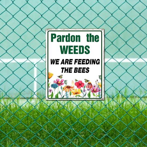 55 486xskw0523skws 1.png