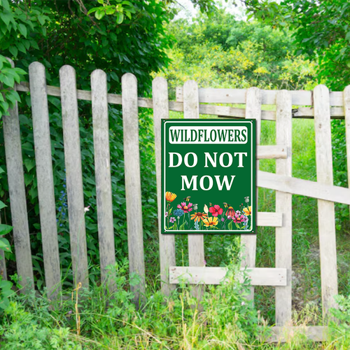 44 463xde250523xkawe 24.png