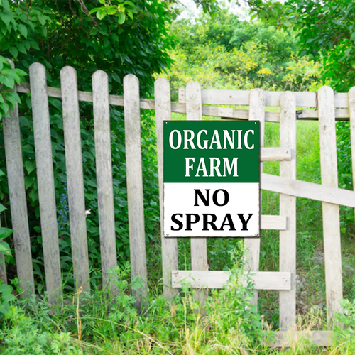 44 463xde250523xkawe 30.png