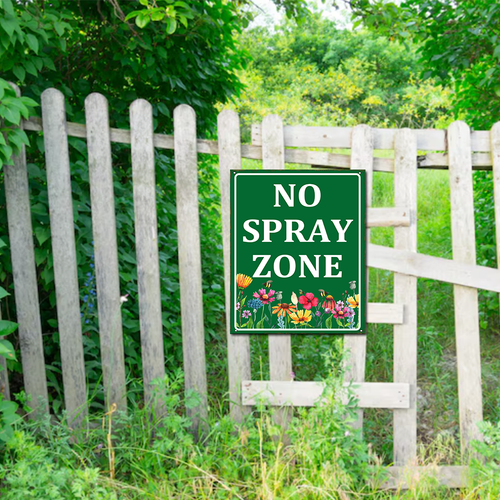 44 463xde250523xkawe 22.png