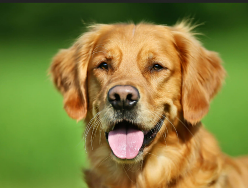 Screenshot 2025 05 18 124106.png