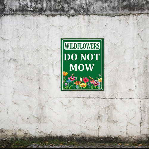 33 463xde250523xkawe 24.png