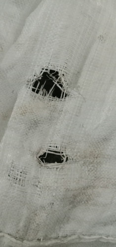 IMG 20250523 181817.jpg