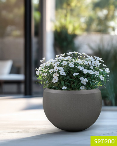 Modern Indoor Planters for Elegant Interiors.jpg