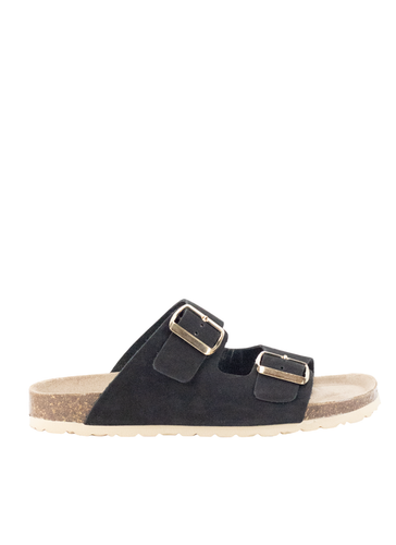 38765 1 Photoroom.png