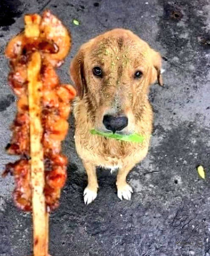 LhRq gZnCkn7 Gl70lzEX4Skz9F889rEFgLqeljpZ2KxDYTVrX41guVt8S vWa9DN1ol nEKnZsl3K0g0Ukvuf Z3UFAdLdQk2z2.jpg