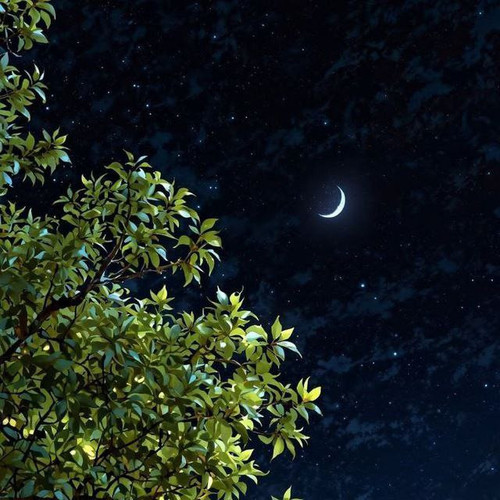 rX39iQmNVHtHkZNDy4nY4 WOtanlRrpbIR9hrkOCAbrDLhSdAvFLGiGcTxSBq0Q1p7RxR8AdjyOv206h63L4T50eMS15MzpdfkoL.jpg