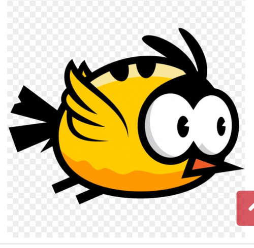 IMG 20250524 063437.jpg