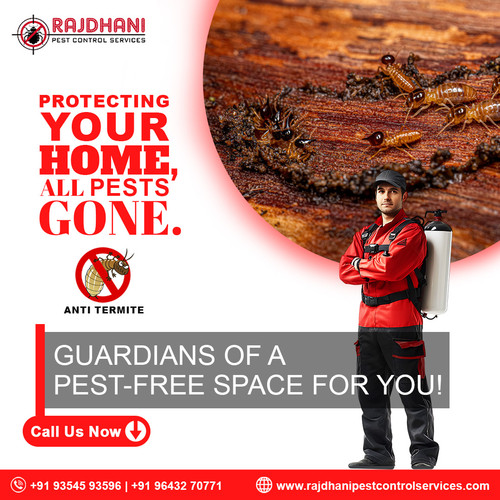 Trusted Pest Control in Greater Noida | Rajdhani Pest Control.jpg