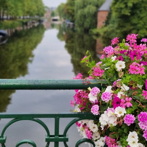 croc 1692861166806.jpg