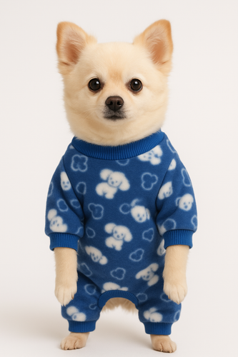 Chihuahua fofo com pijama azul.png