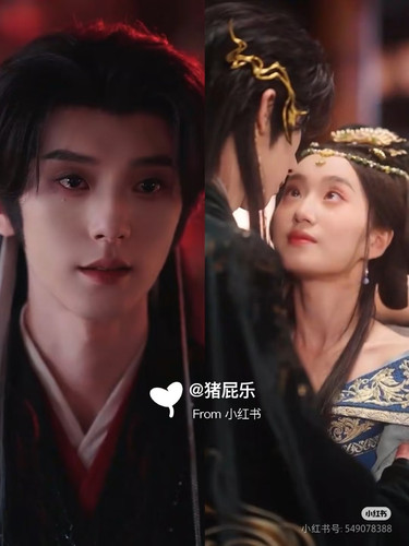 Camera 1040g3k831hohgdcg3o2g4arr69d8irf13ogp3lg.jpg