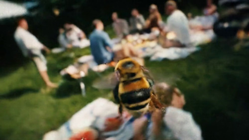 Rd6GX7 njVjXg6Xc.jpg