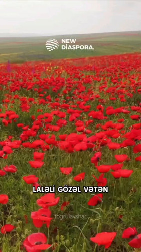 yOU7LecM qHK1Zzn.jpg