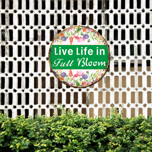 44 446240820xjazuatien 6.png