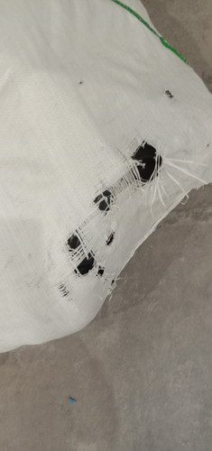 IMG 20250524 155136.jpg