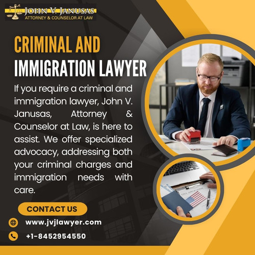 criminal and immigration lawyer.jpg