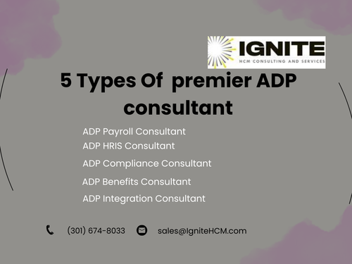 5 Types premier ADP consultant.png