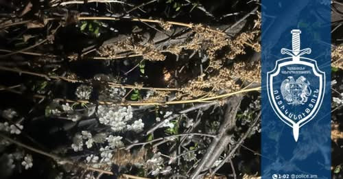 6861339924745152575?url=https%3A%2F%2Fwww.shantnews.am%2Fwp content%2Fuploads%2F2025%2F05%2FScreensh.jpg