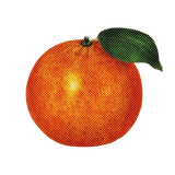 image removebg preview