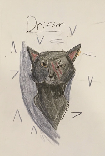 Drifter.jpg