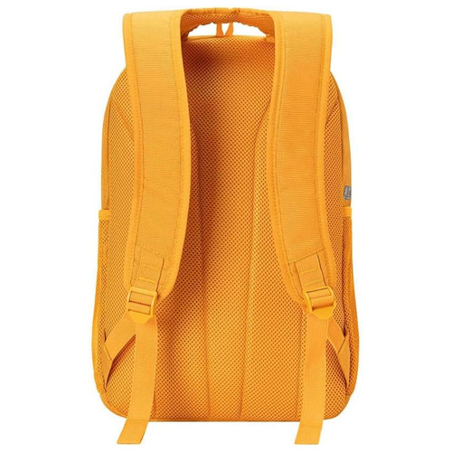 FUNDO BRANCO PRODUTOS 2025 05 23T114113.442.jpg