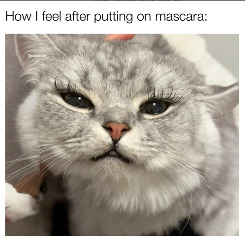 screenshot 2025 05 23 at 1.22.57 pm.png