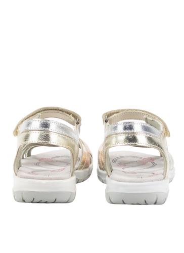 40419 3 Photoroom.png