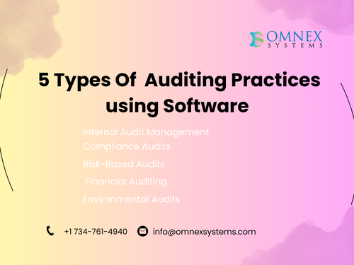 5 Types Auditing Practices using Software.png