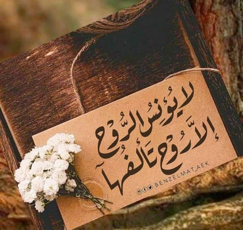 FB IMG 1748062213750.jpg