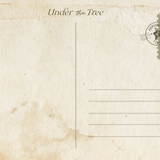 under the tree postcard back