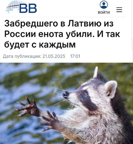 UIO2Po9y4Ig33SSEO vvTEYXGpxshNiuxkkqwttBQg1Wjaz3dQwGmoZMZJvcRfFwdF tTLKUdtk3HyN7Q Sv LsSfnuzehi3wPhj.jpg