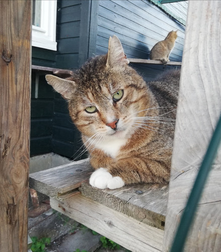 IMG 20250524 011309.jpg