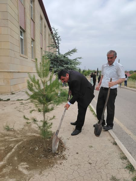 500340039 1071216361724888 4932386408666551632 n.jpg?stp=dst jpg s600x600 tt6& nc cat=105&ccb=1 7& n.jpg