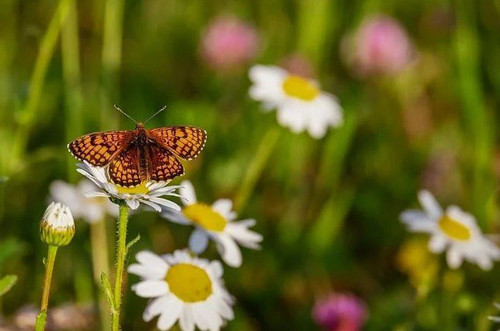 kRj9RjUN8OAzpWyrCf5LmbhI6uscUePUGZ1DFhY4wDP2RZNmPFUbK60V4VQyN8zyVVMSnNGYIRNbTCNMppokFg2N4 CX hnvSW G.jpg