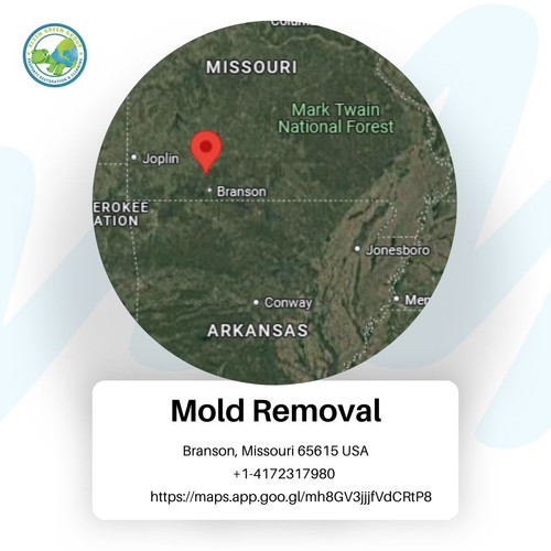 Mold Removal.jpg