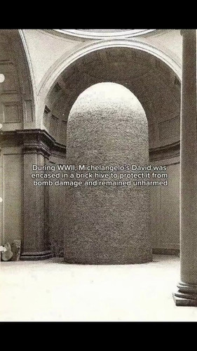 cc1vixcsXMdL7T9 .jpg