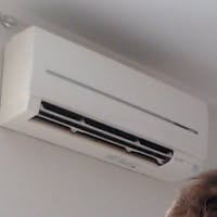 309228146 191844893260303 6249709347188900886 n.jpg