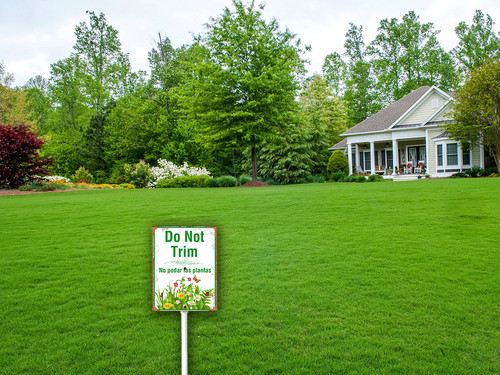 keep off grass 2 5.jpg