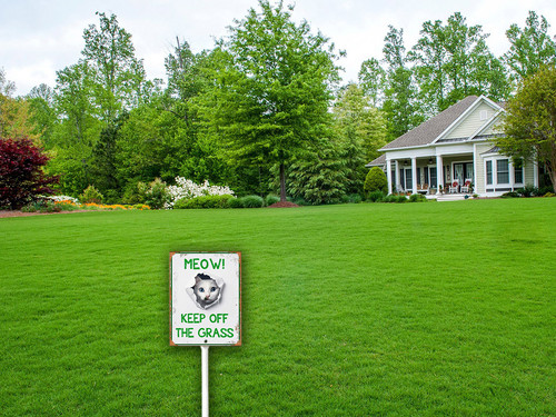 keep off grass 2 16.jpg