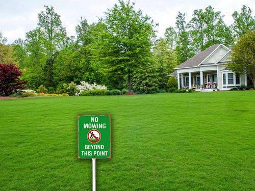 keep off grass 2 3.jpg