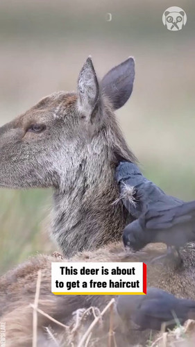 ENPknDoPn2aOpnVs.jpg