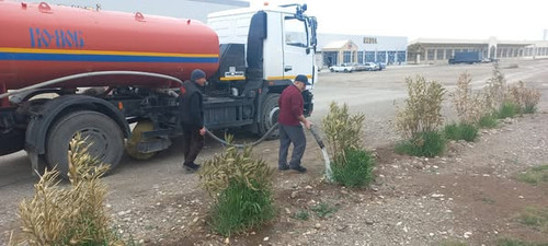 487239003 991960659786860 7921983795232987292 n.jpg?stp=dst jpg s600x600 tt6& nc cat=107&ccb=1 7& nc.jpg